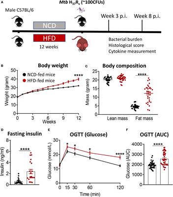 Pre-Diabetes Increases Tuberculosis Disease Severity, While High Body Fat Without Impaired Glucose Tolerance Is Protective